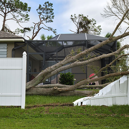 Breakaway Maintenance Yard Cleanup Services